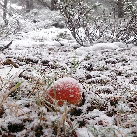 La De Castroviejo 2* دورويلو دي لا سييرا