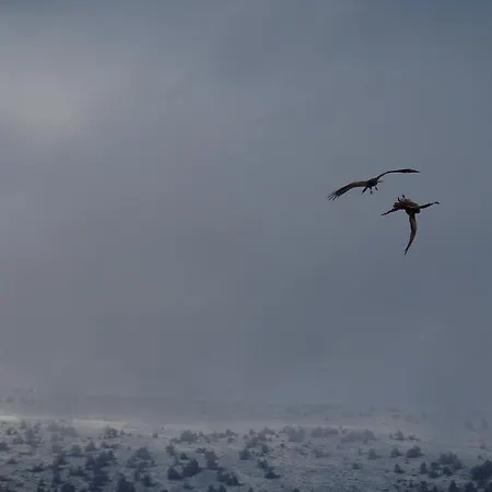 فندق La De Castroviejo