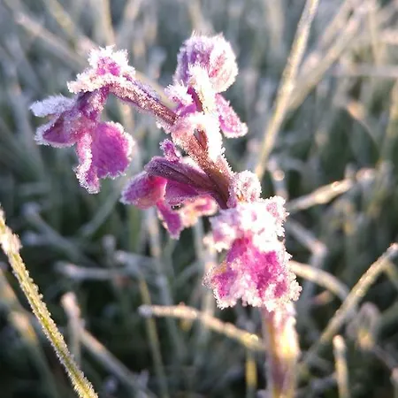 La De Castroviejo فندق