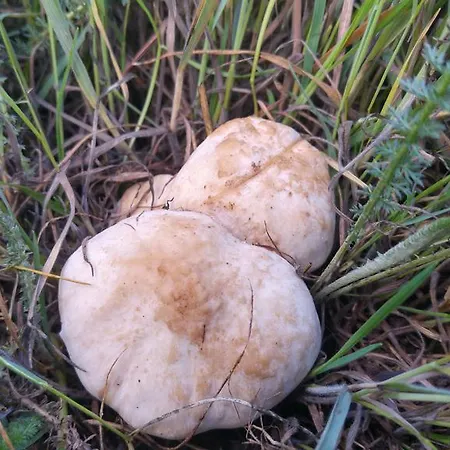 Hotel La De Castroviejo 2*