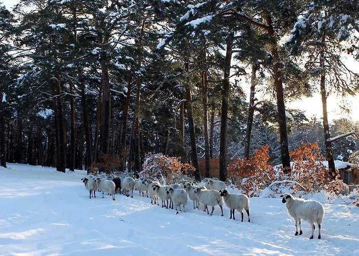 La De Castroviejo 호텔 2*