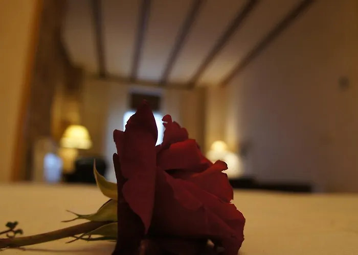 호텔 La De Castroviejo