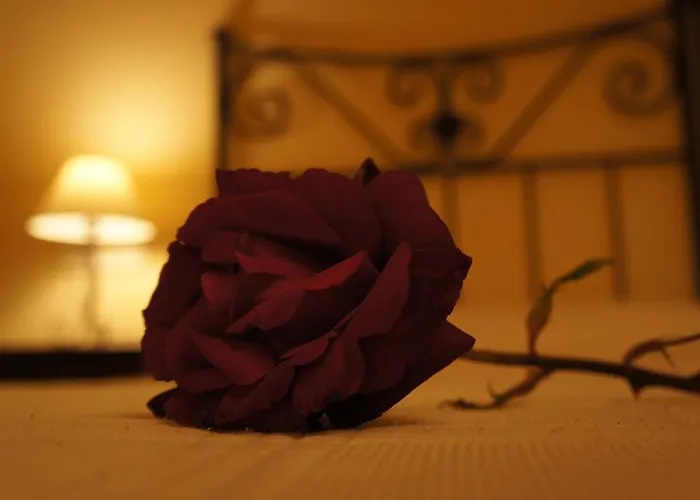 호텔 La De Castroviejo 두루엘로 데 라 시에라