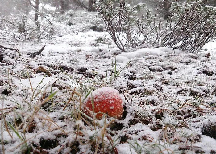 La De Castroviejo 2* 두루엘로 데 라 시에라