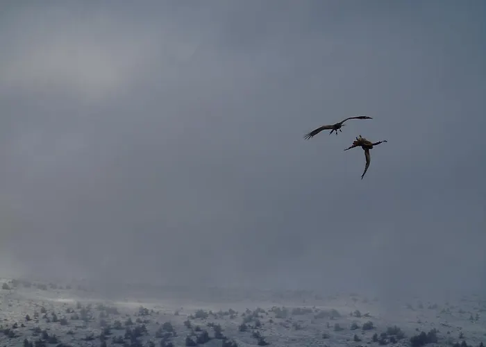 호텔 La De Castroviejo