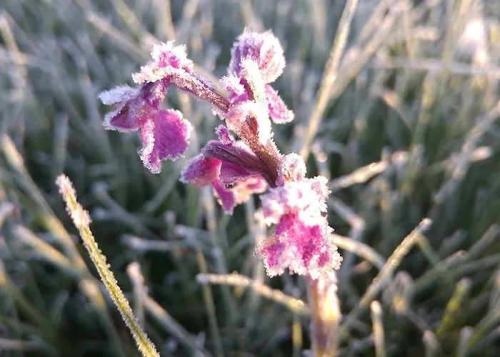 La De Castroviejo 호텔